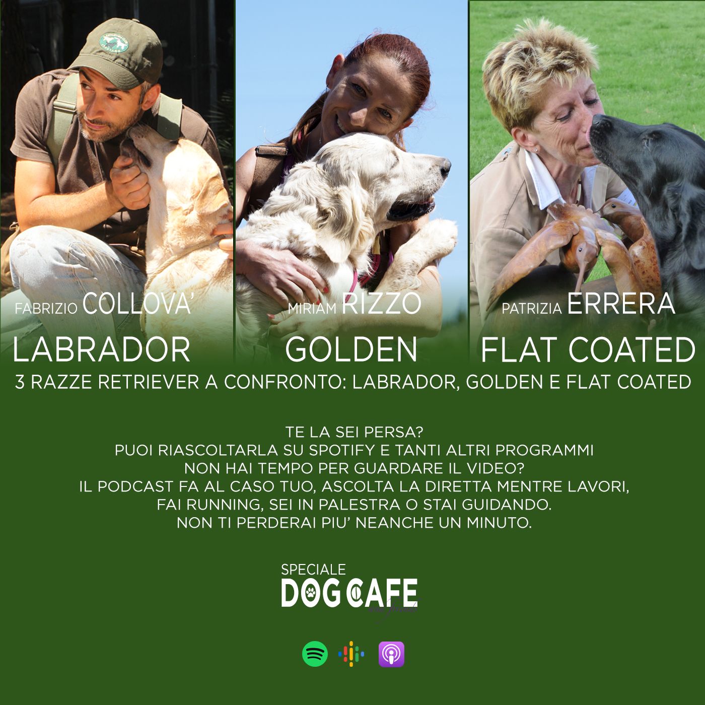 Dog Cafe Podcast
