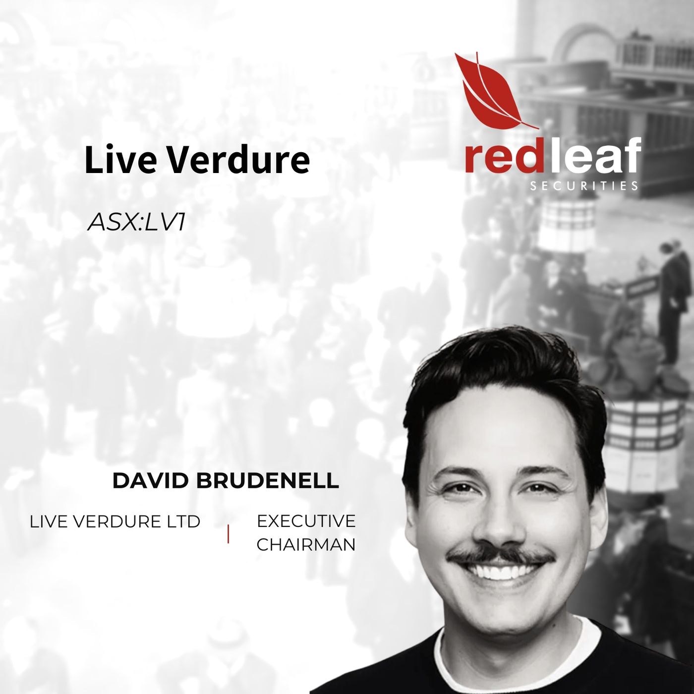 Red Leaf Securities