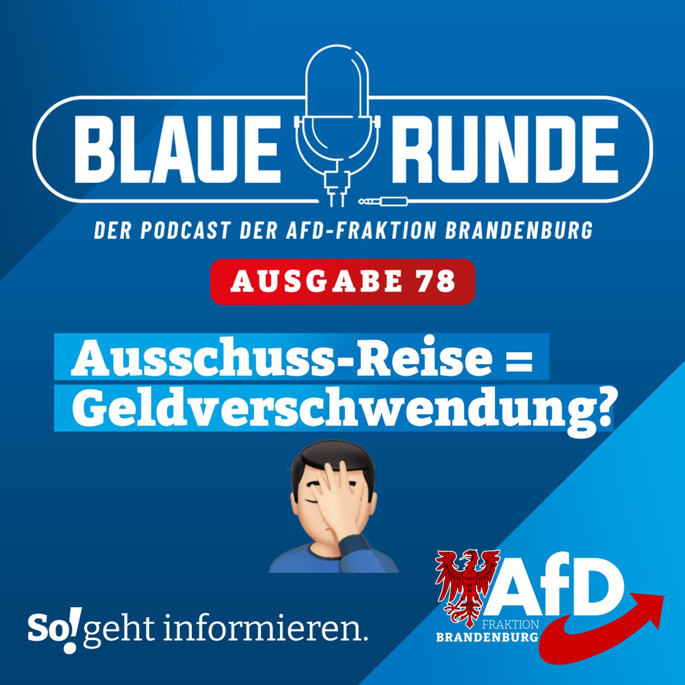 Ausschussreise = Geldverschwendung? | Die BLAUE RUNDE, Ausgabe 78/23 vom 25. September 2023 episode artwork