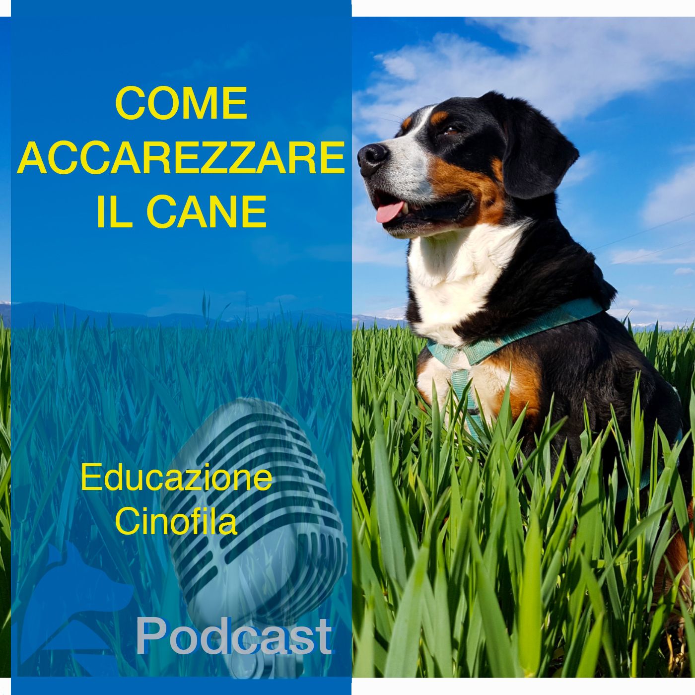 StiCani Educazione Cinofila