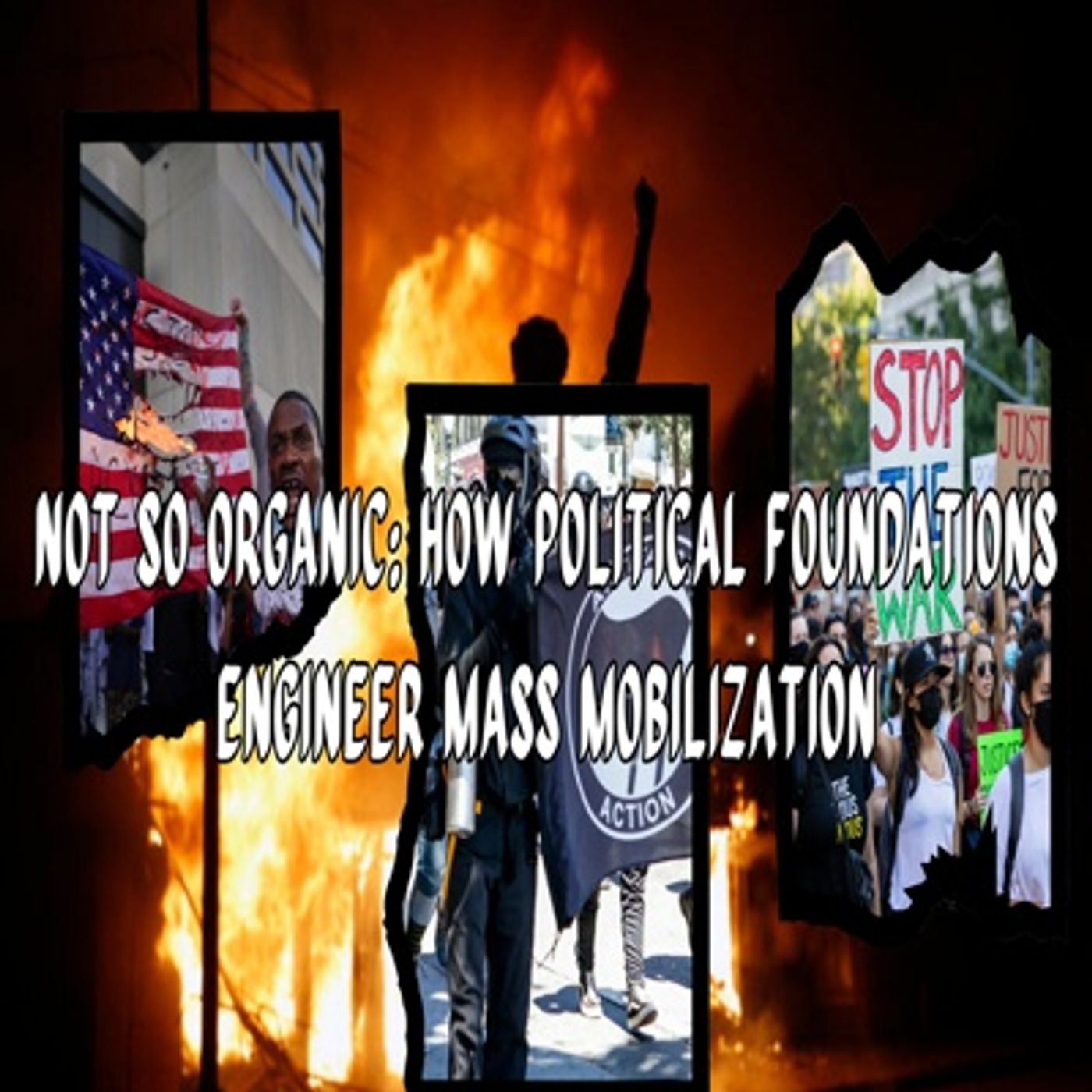Not So Organic - How Political Foundations Engineer Mass Mobilization Not So Organic - How Political Foundations Engineer Mass Mobilization