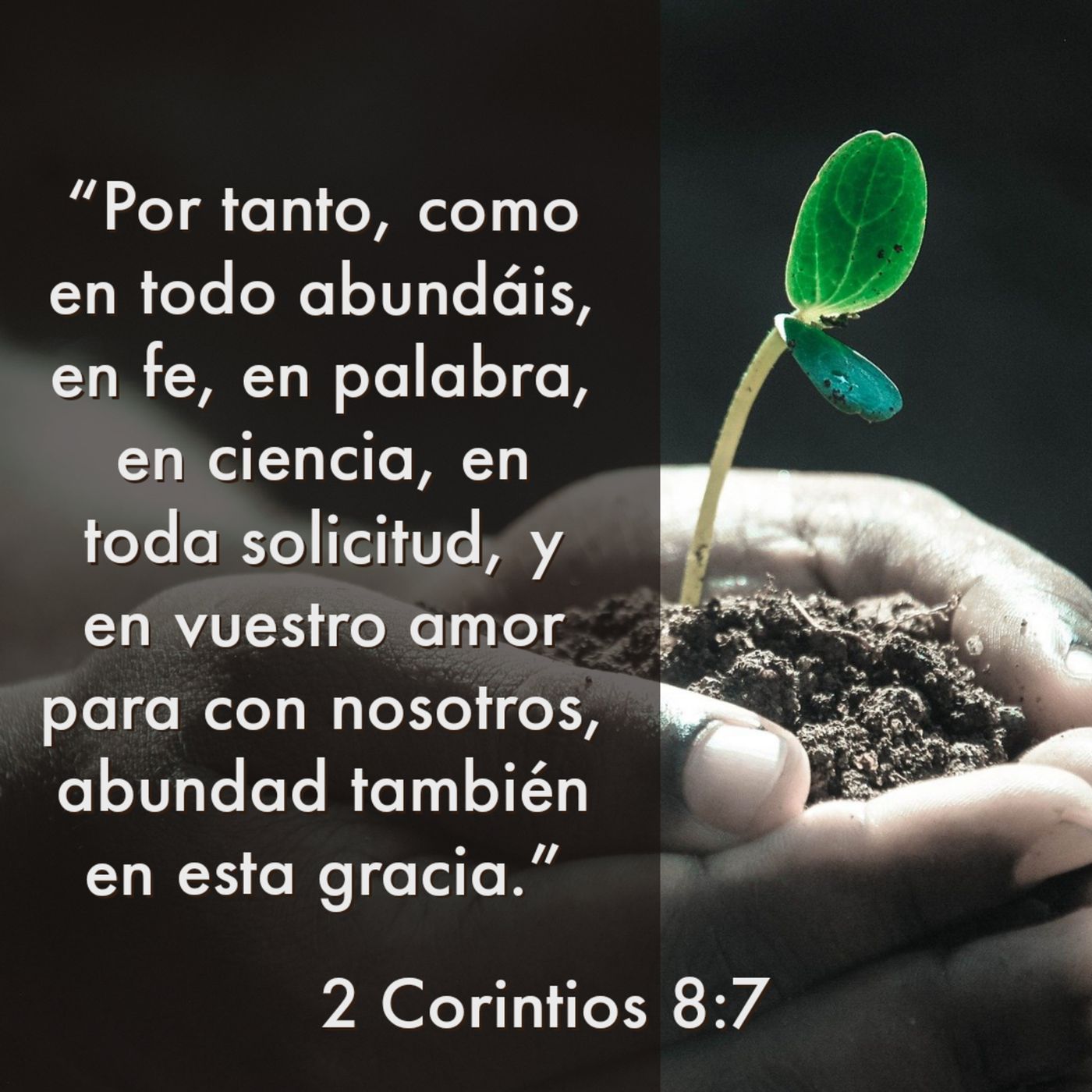 Firmes (2da de Corintios)