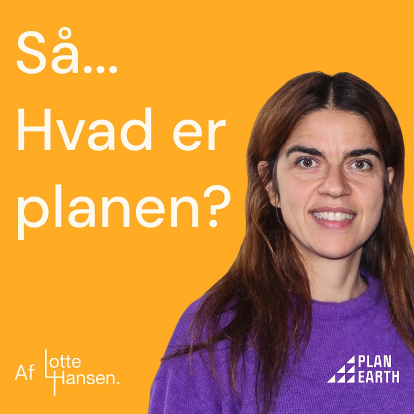 Så... Hvad er planen?