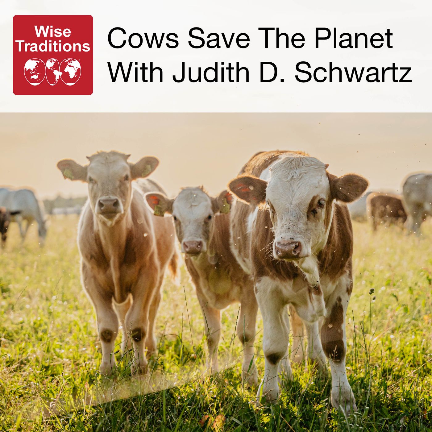 440: Cows Save The Planet episode artwork