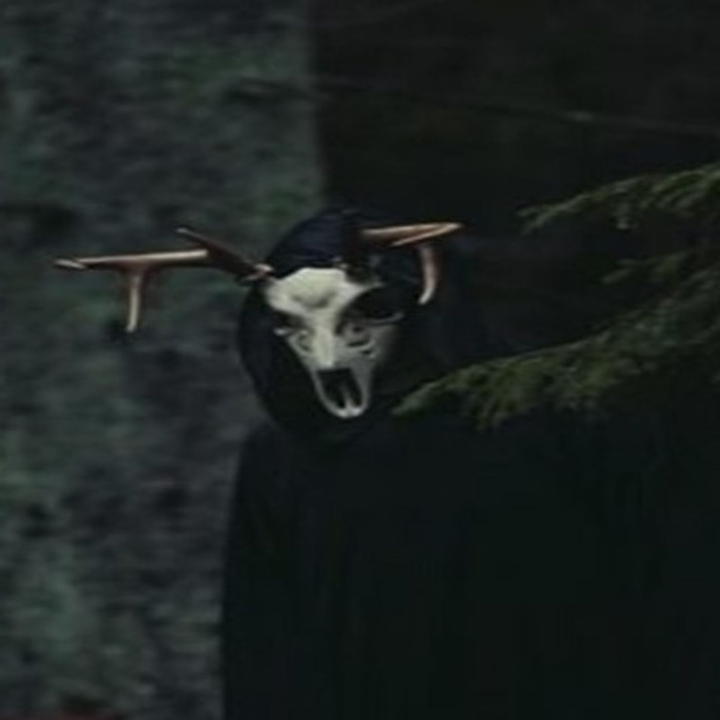 El Acompañante Historias De Terror - REDE