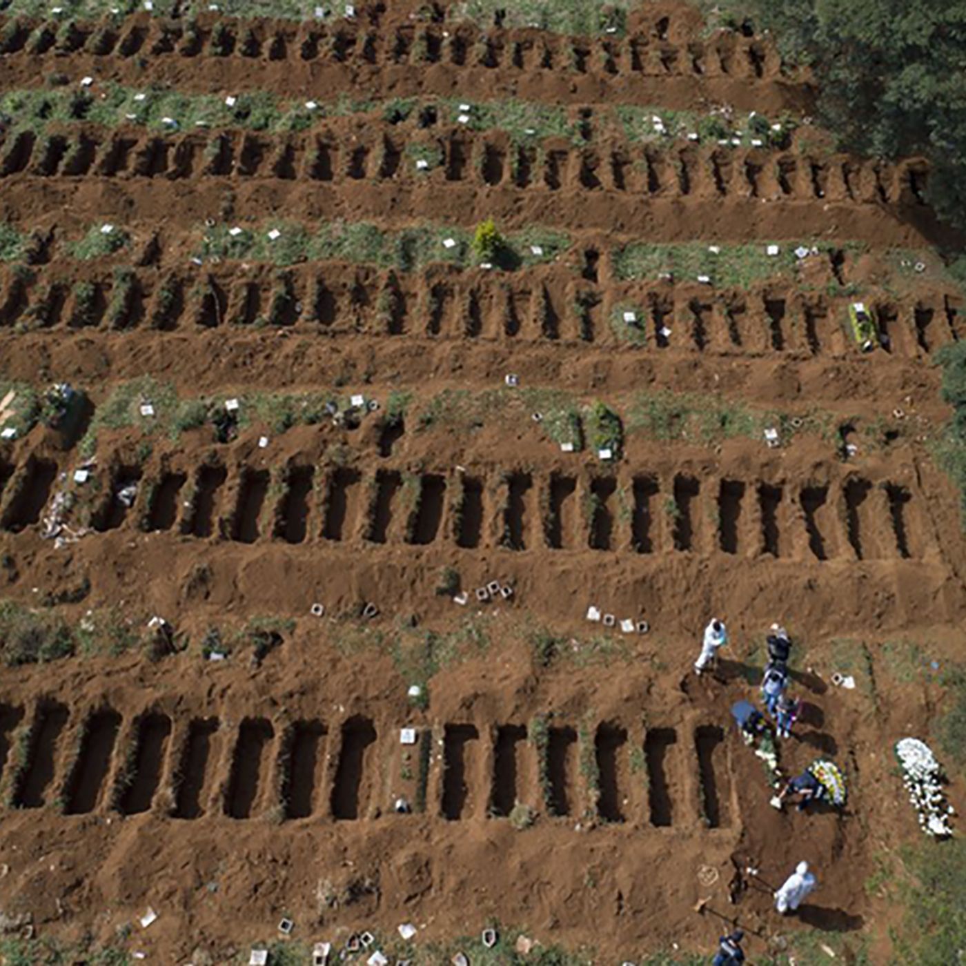 El Equipo Argentino de Antropología Forense frente a la pandemia
