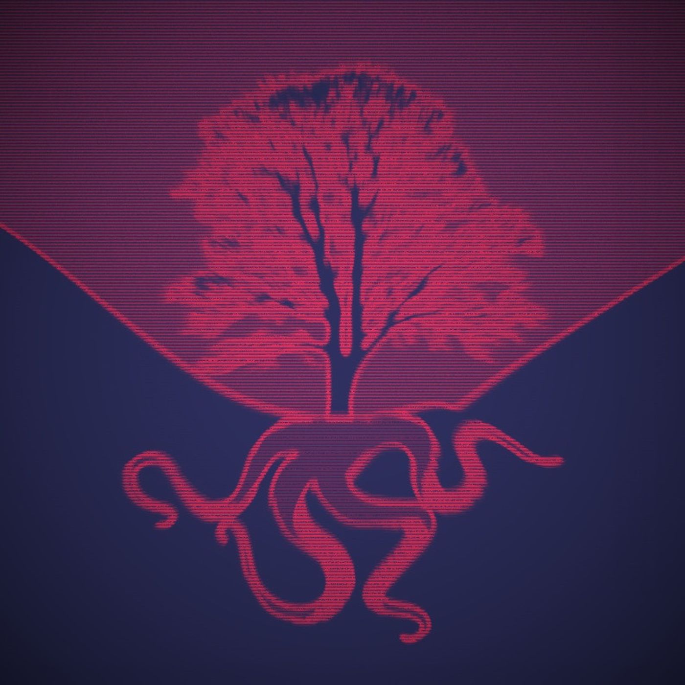 3.11 - Roots (Part 2)