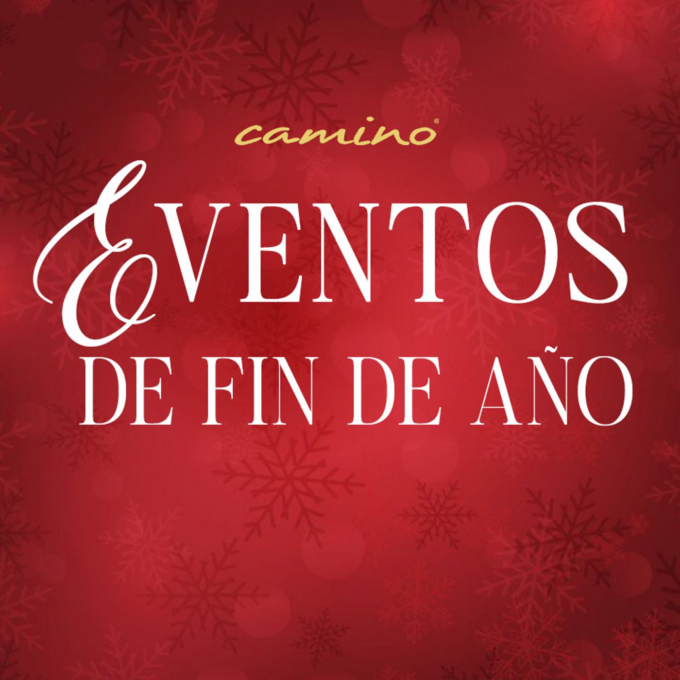 Oración 10 de diciembre (Eventos de fin de año) episode artwork