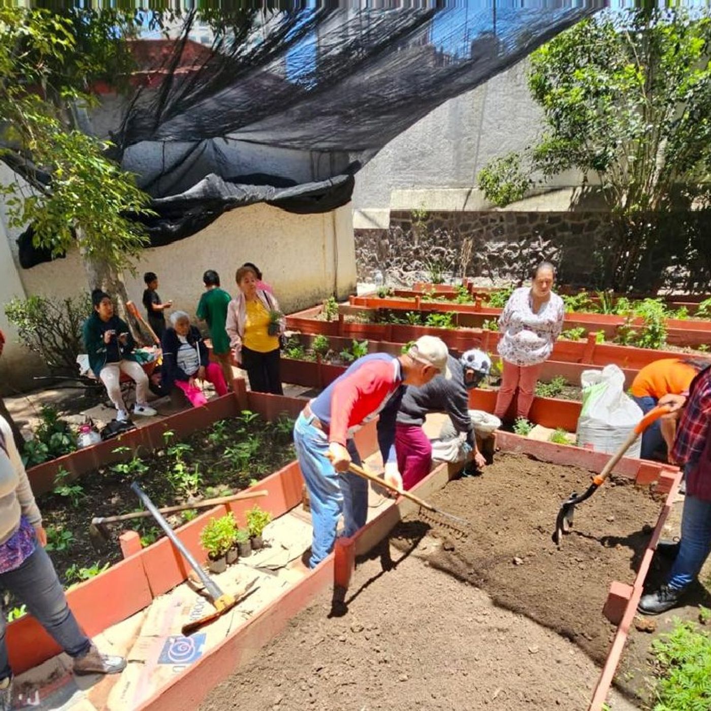 El podcast de Alyssa