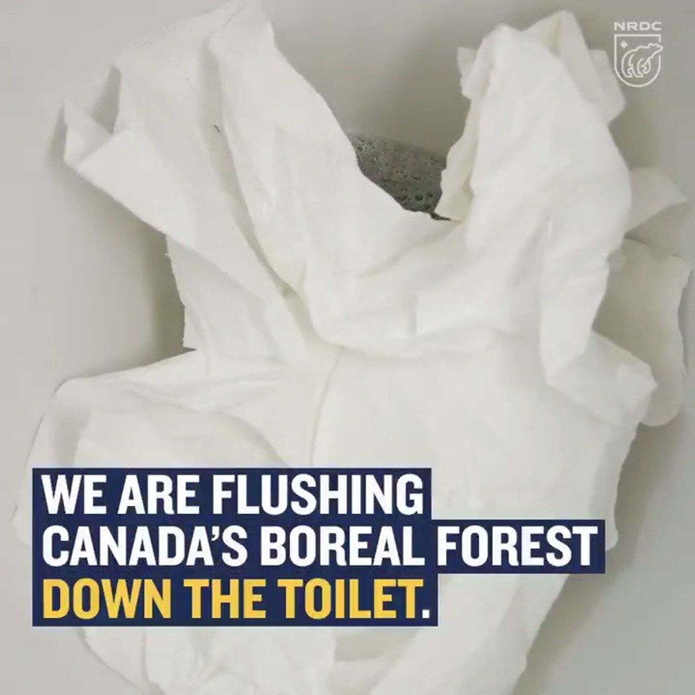 Flushing Our Forests Away episode artwork