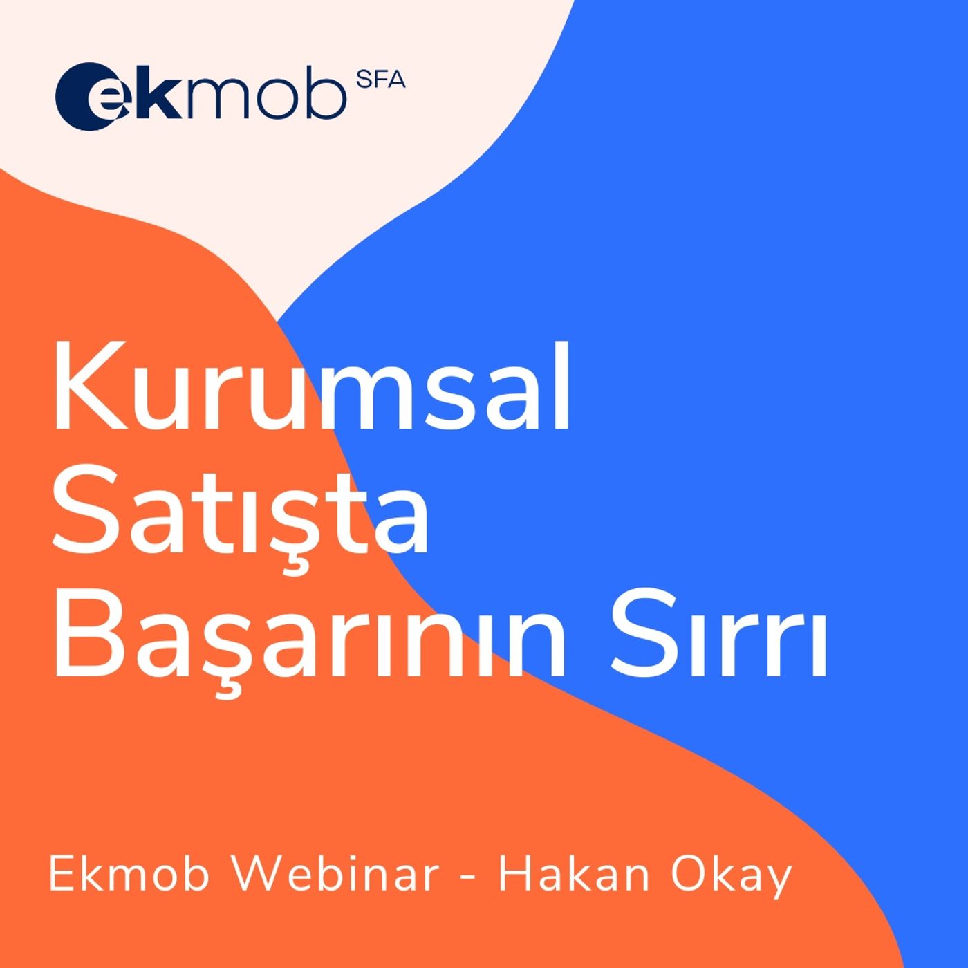 Satış Ekibi Yönetimi