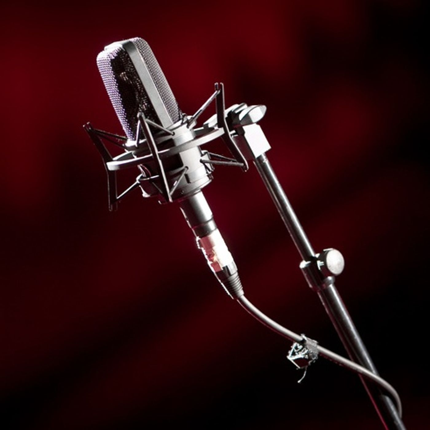 Voiceover Sermons with Terry Daniel
