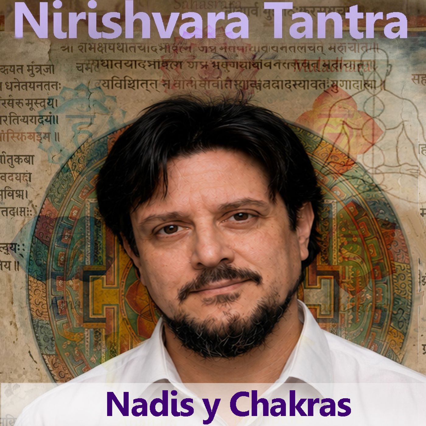 Nadis y Chakras