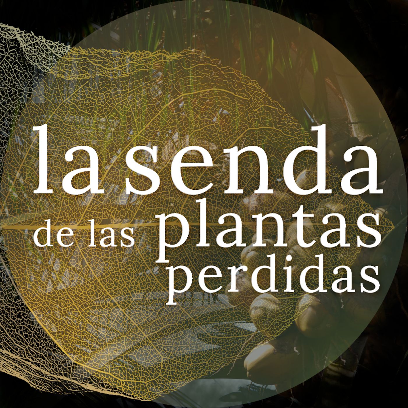 La Senda de las Plantas Perdidas