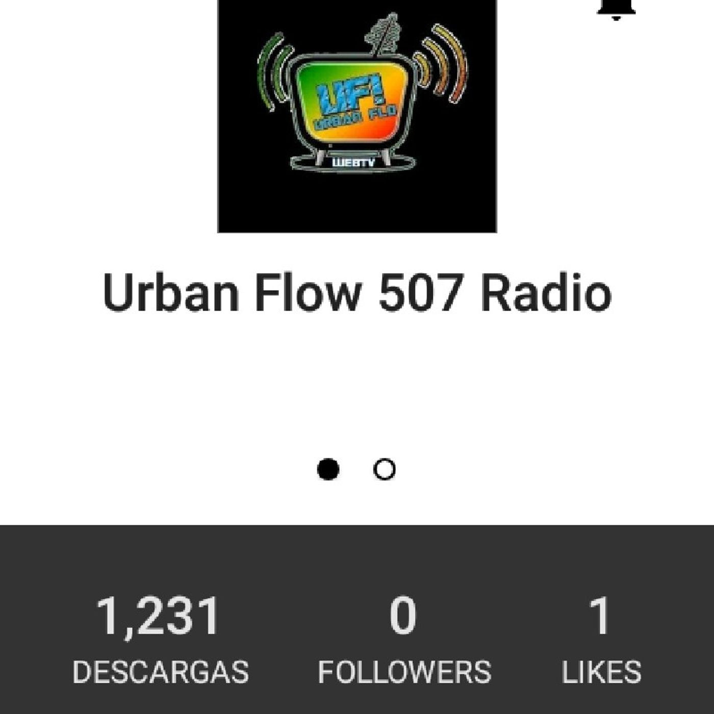 Urban Flow 507 Radio