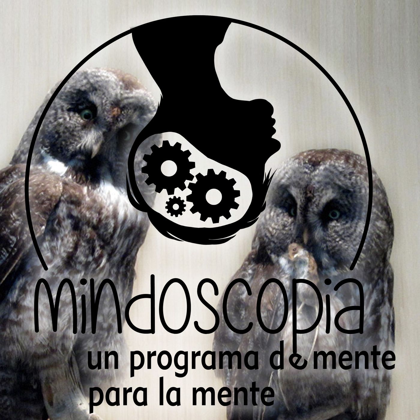 Mindoscopia | Reconexion Life