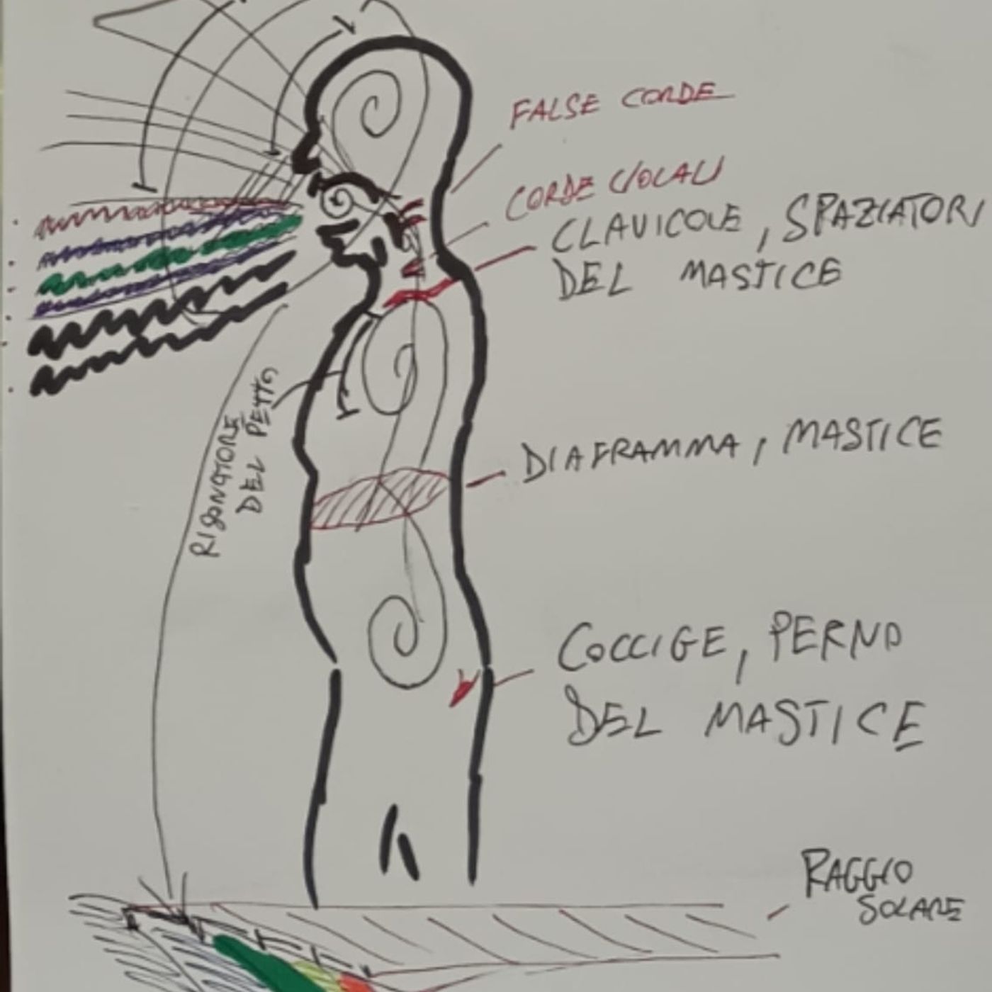 Intervista a Gianmarco Morea (aka General Centipede) @ 7 Chakras Festival episode artwork
