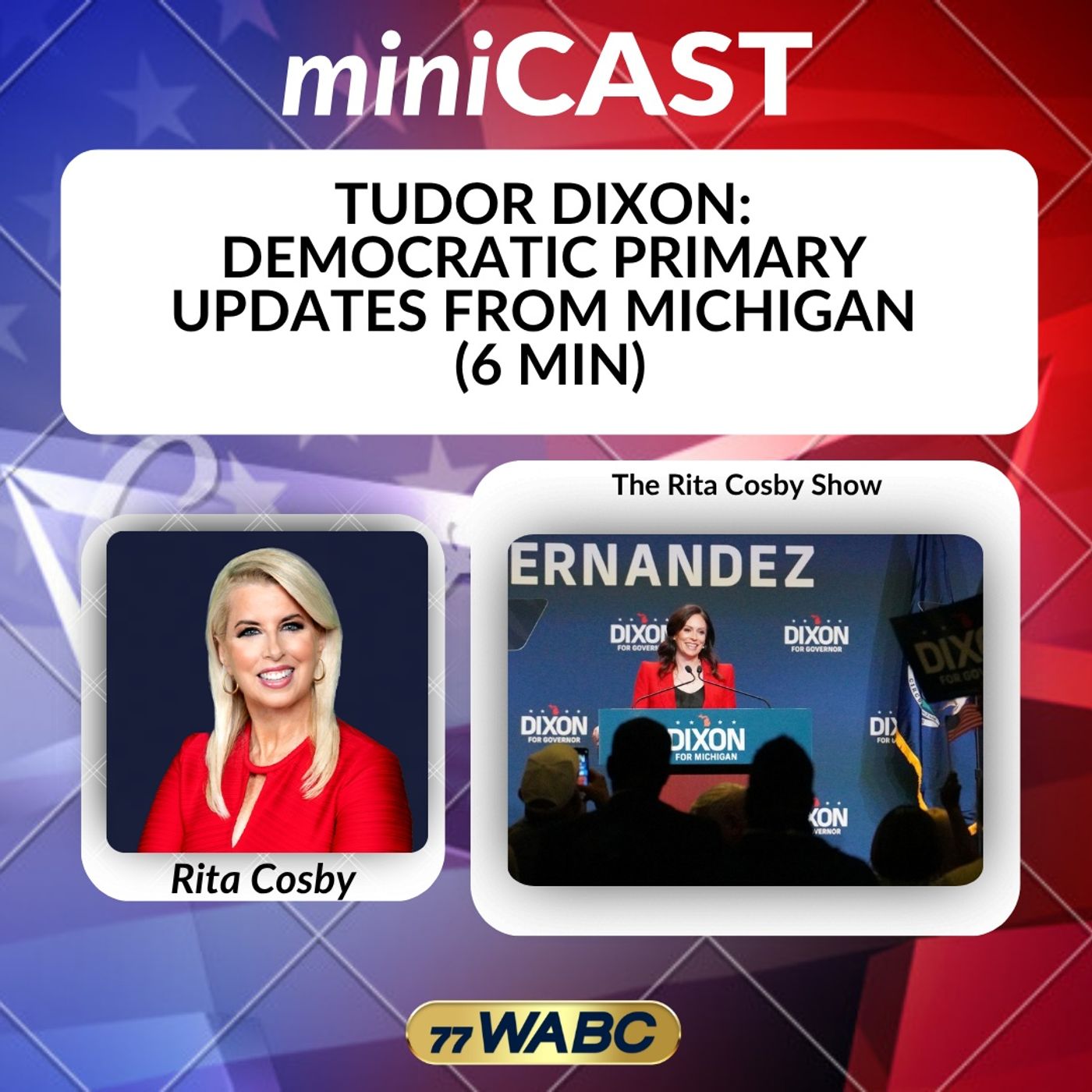 Tudor Dixon: Democratic Primary Updates From Michigan (6 Min)