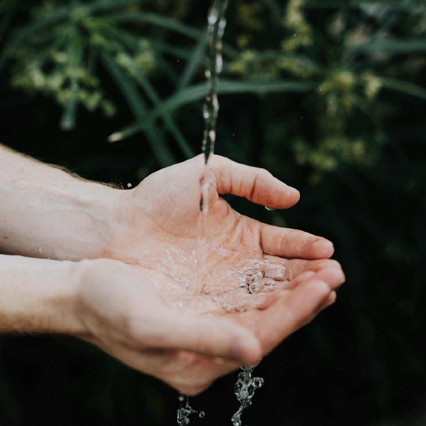 El agua da vida