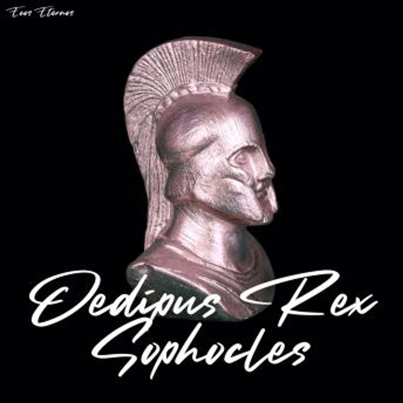 Access Unmissable Full Audiobooks in Biography & Memoir, Arts & Entertainment