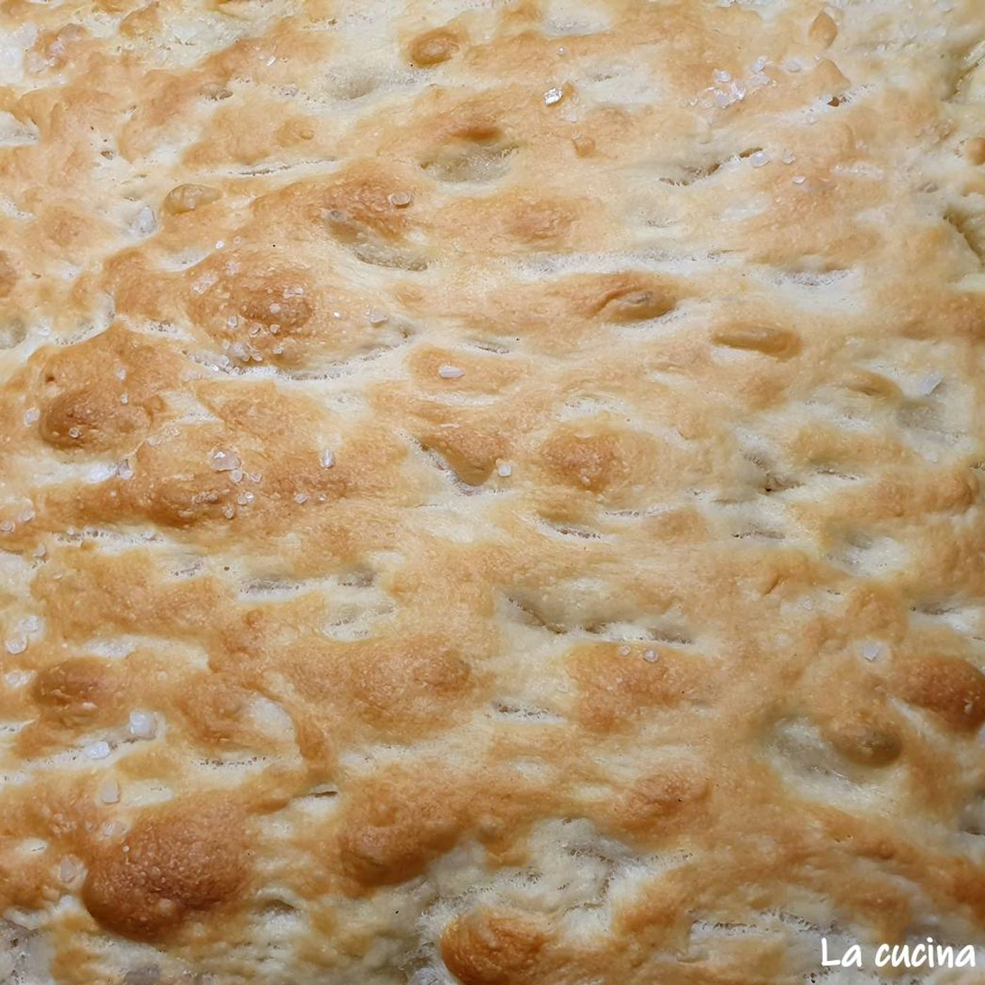 Focaccia genovese tradizionale soffice: ricetta fatta in casa episode artwork