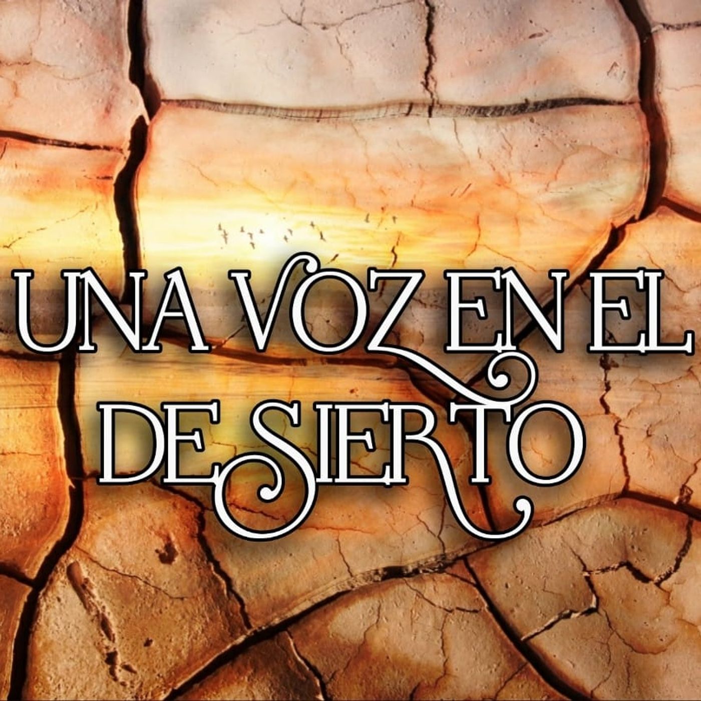 Una Voz en el Desierto