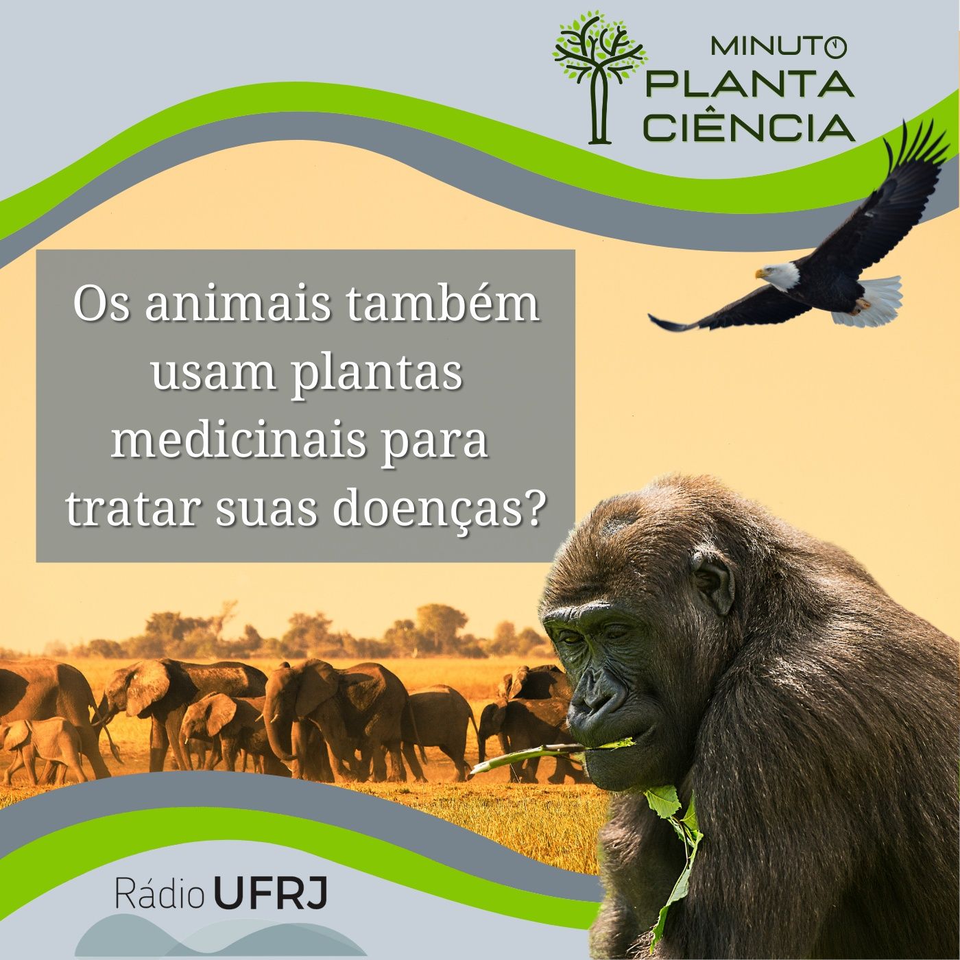 PlantaCiência