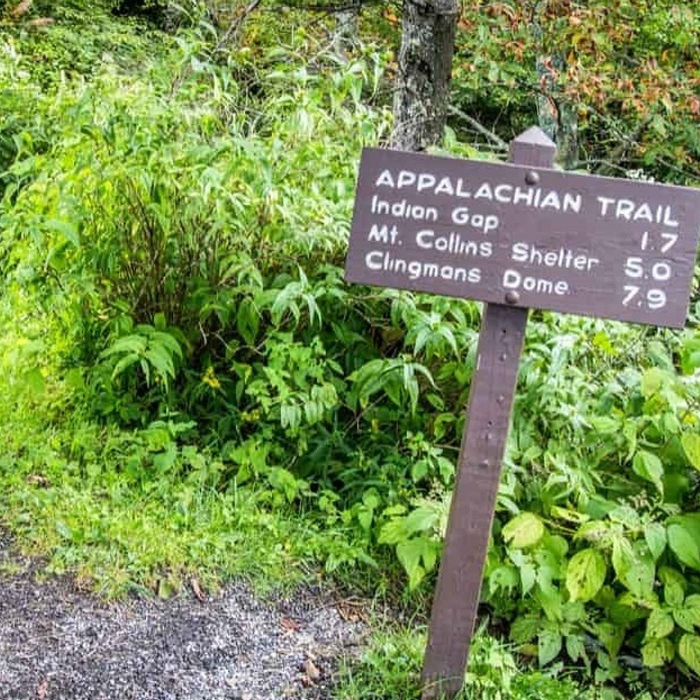 360: Appalachian Trail Stories