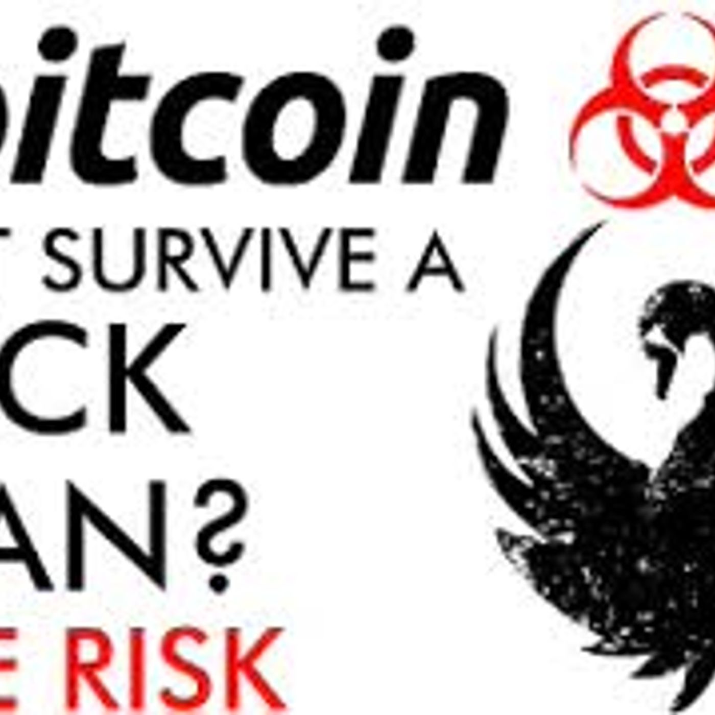 cover of episode Bitcoin Can It Survive A Black Swan - Price Collapse Risk Explained
