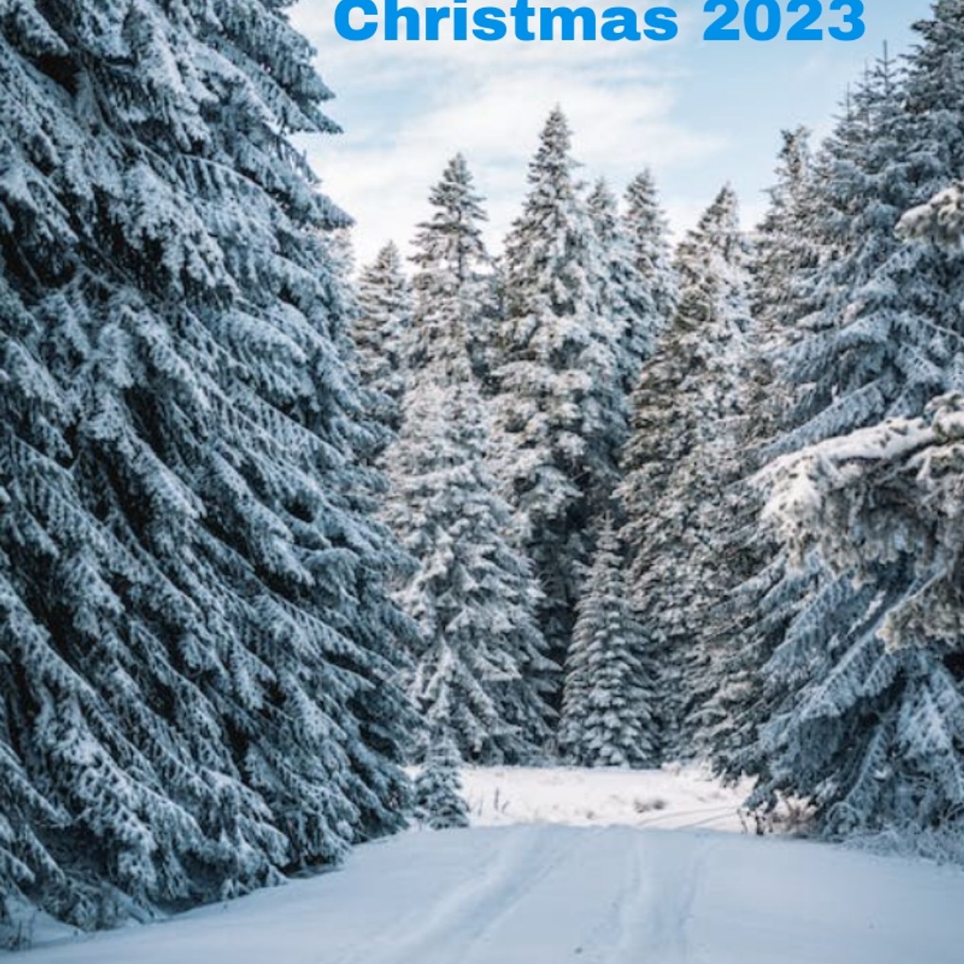 The Quest. Christmas 2023