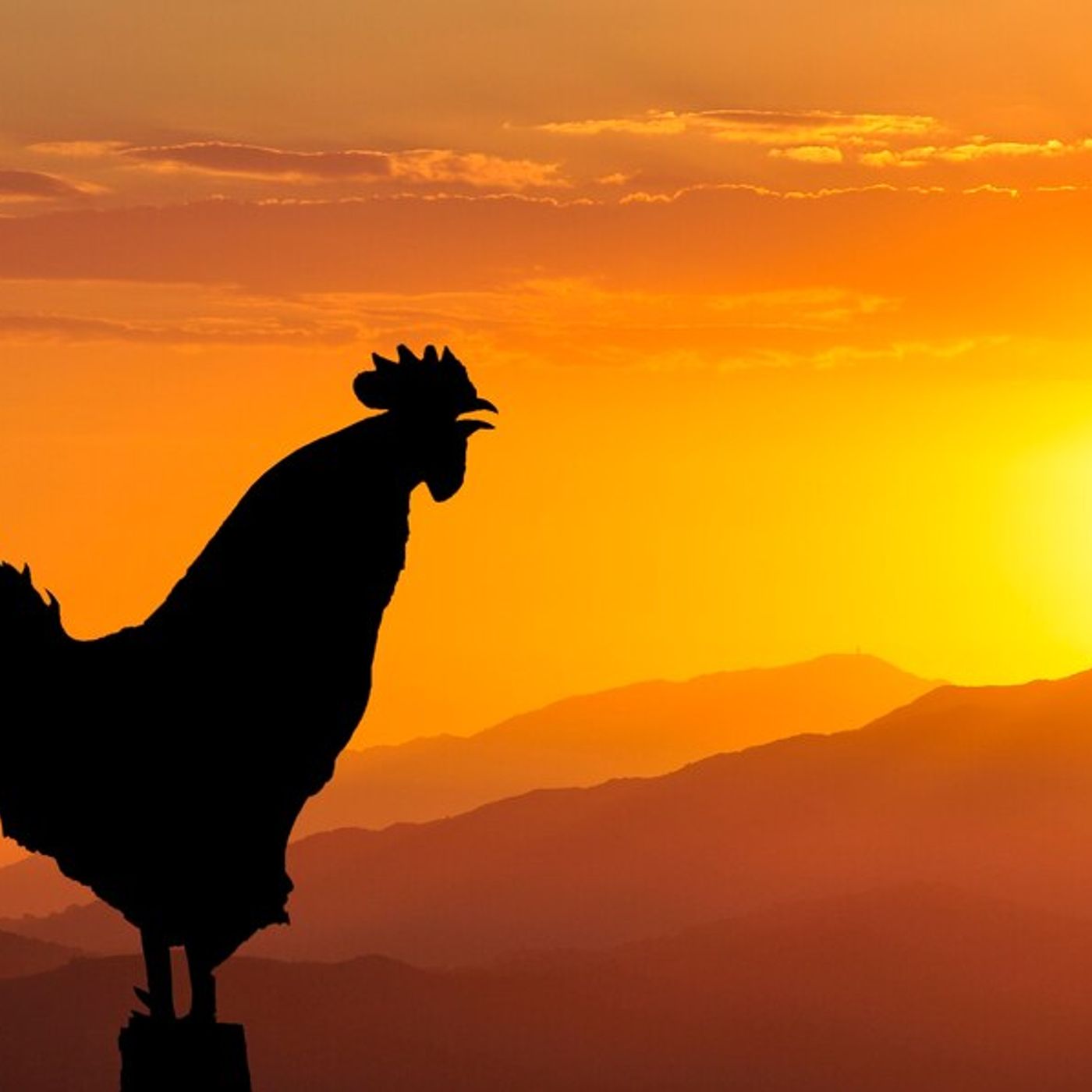 9/25/22 Sun. AM - What The Rooster Said To The Preacher - Pastor Jeff Crawley episode artwork
