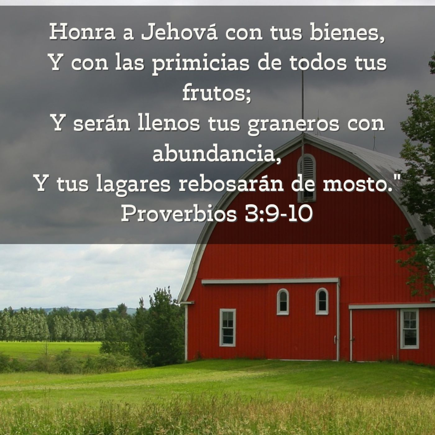 Joyas de Sabiduría (Libro de Proverbios)
