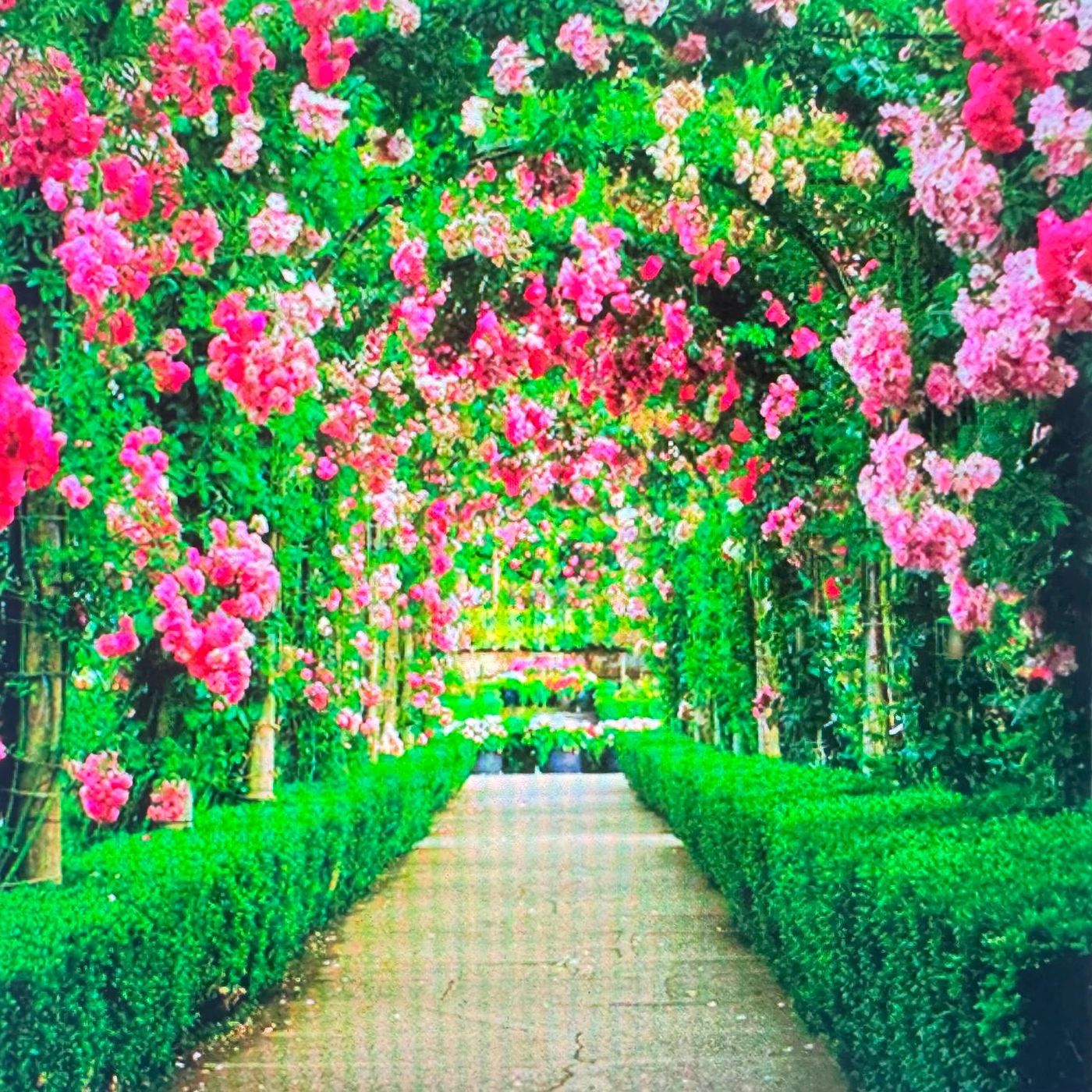 Greenify: Servicios de Jardinería podcast artwork