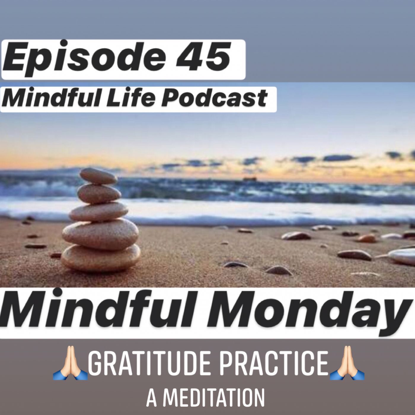 Mindful Life Podcast