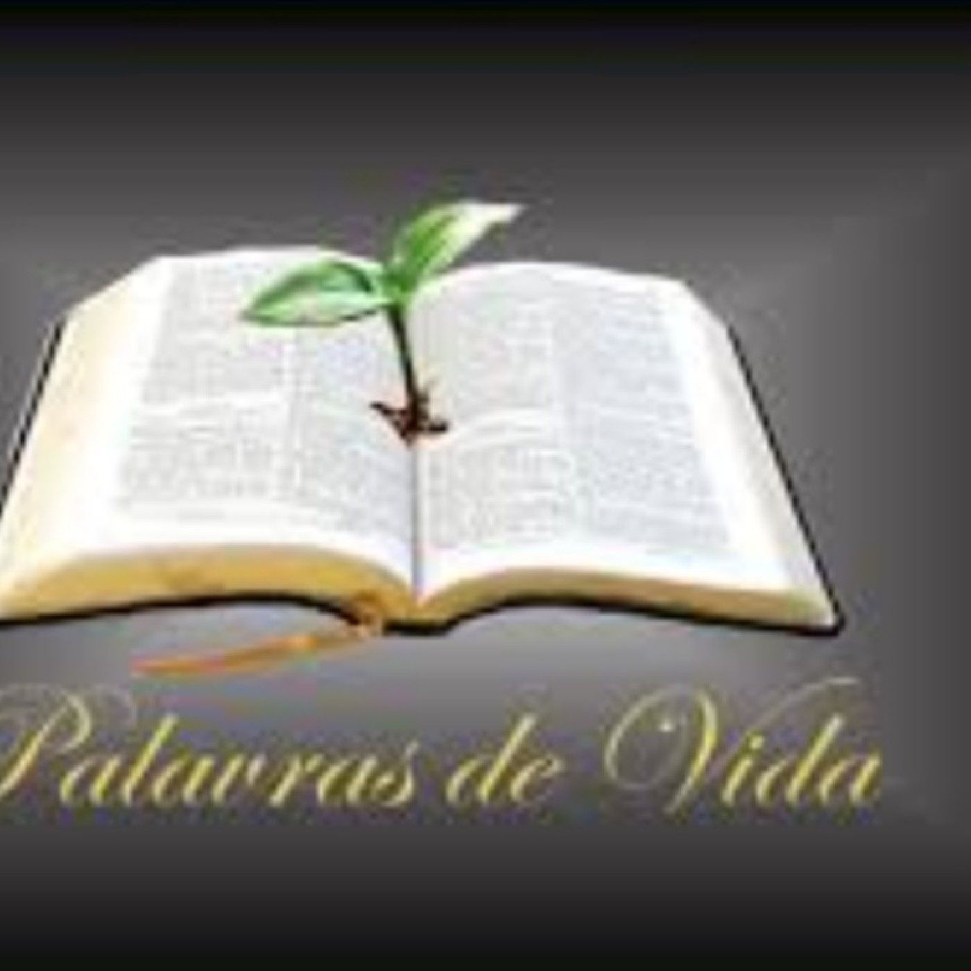 PODCAST PALAVRAS DE VIDA