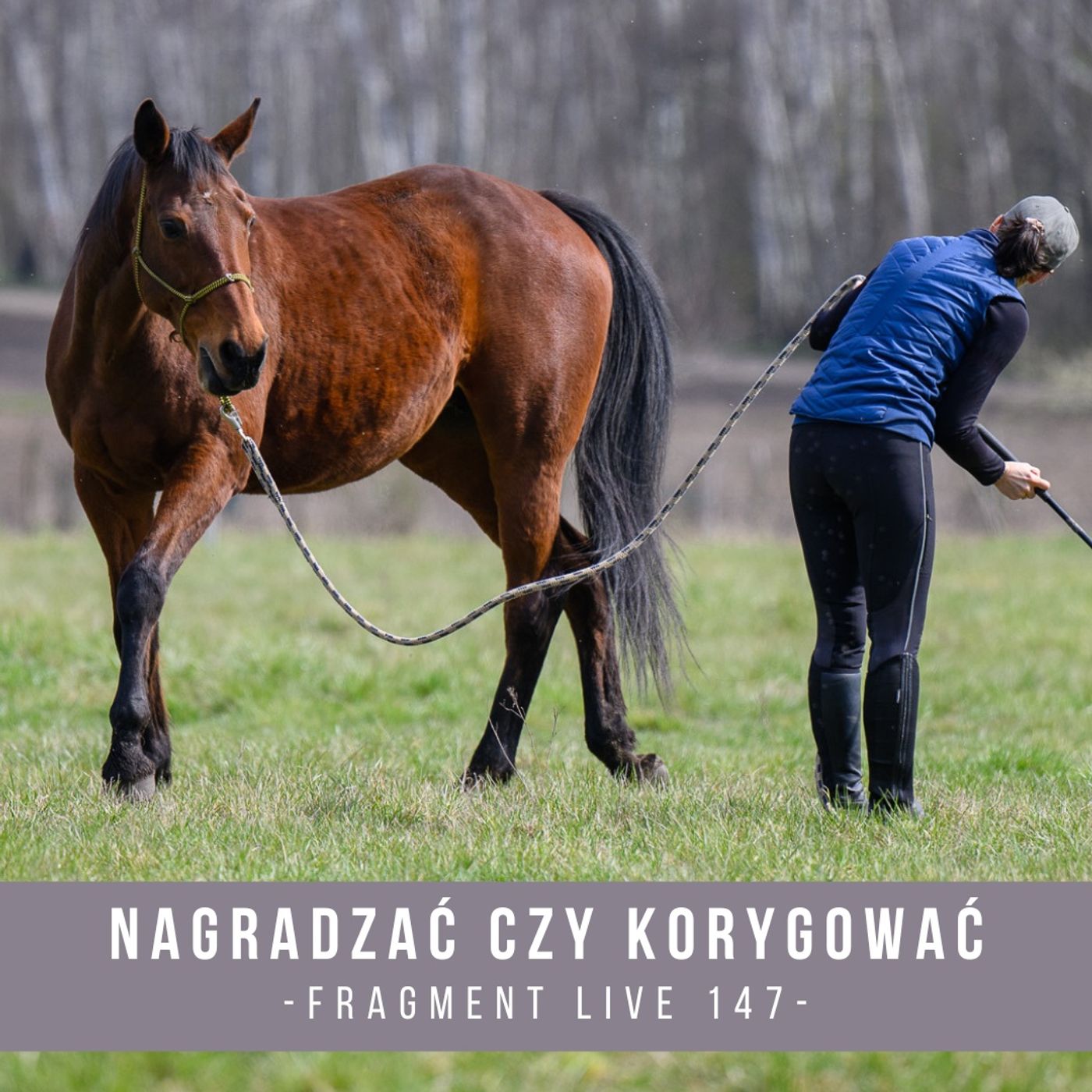 Nagradzać czy korygować - fragment live 147 episode artwork