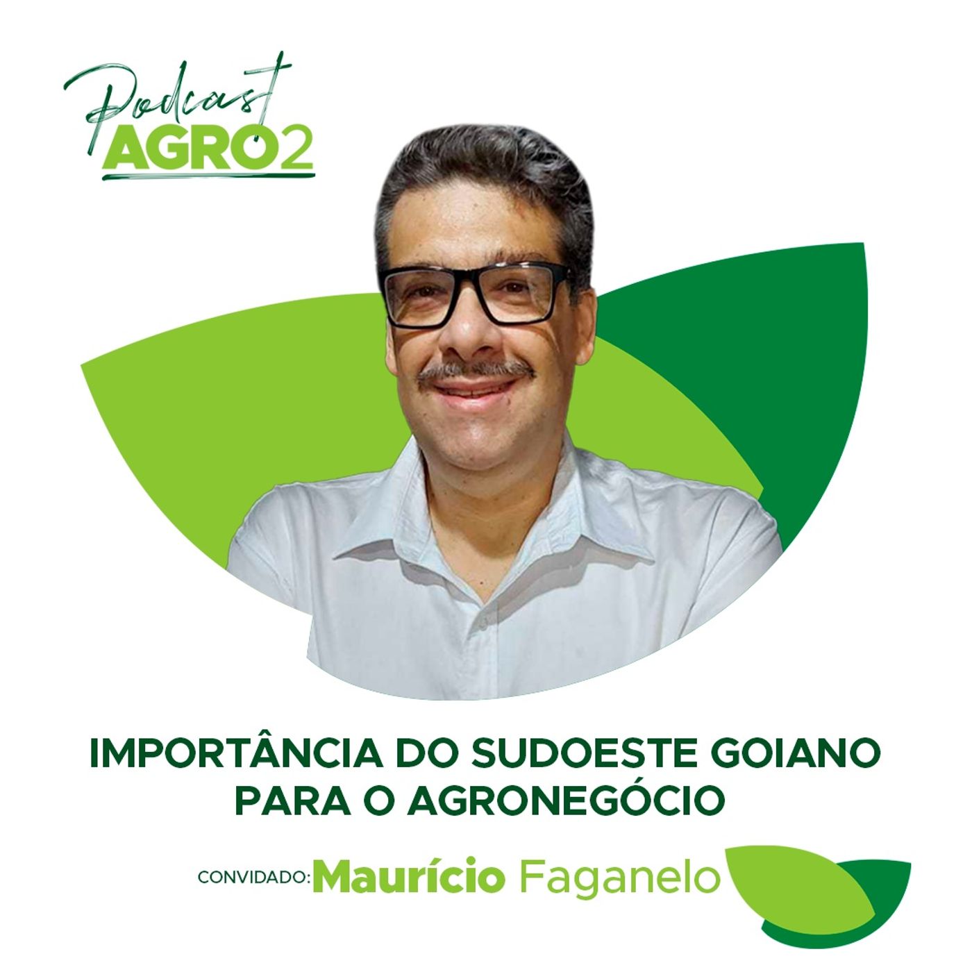 #83 Importância do sudoeste goiano para a economia e geração de empregos em Goiás episode artwork