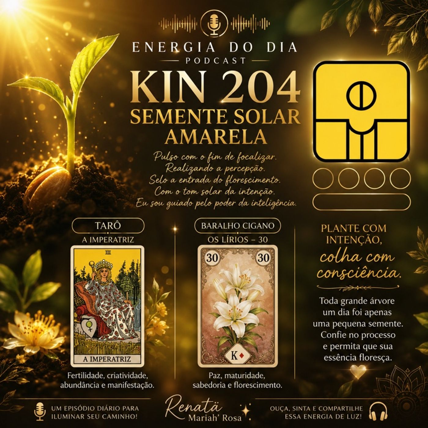 Energia do Dia  Kin 204 – Semente Solar Amarela episode artwork