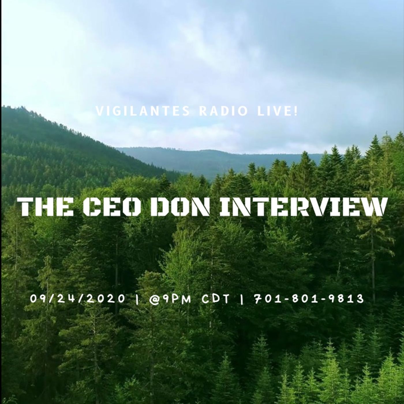 The CEO Don Interview. Image