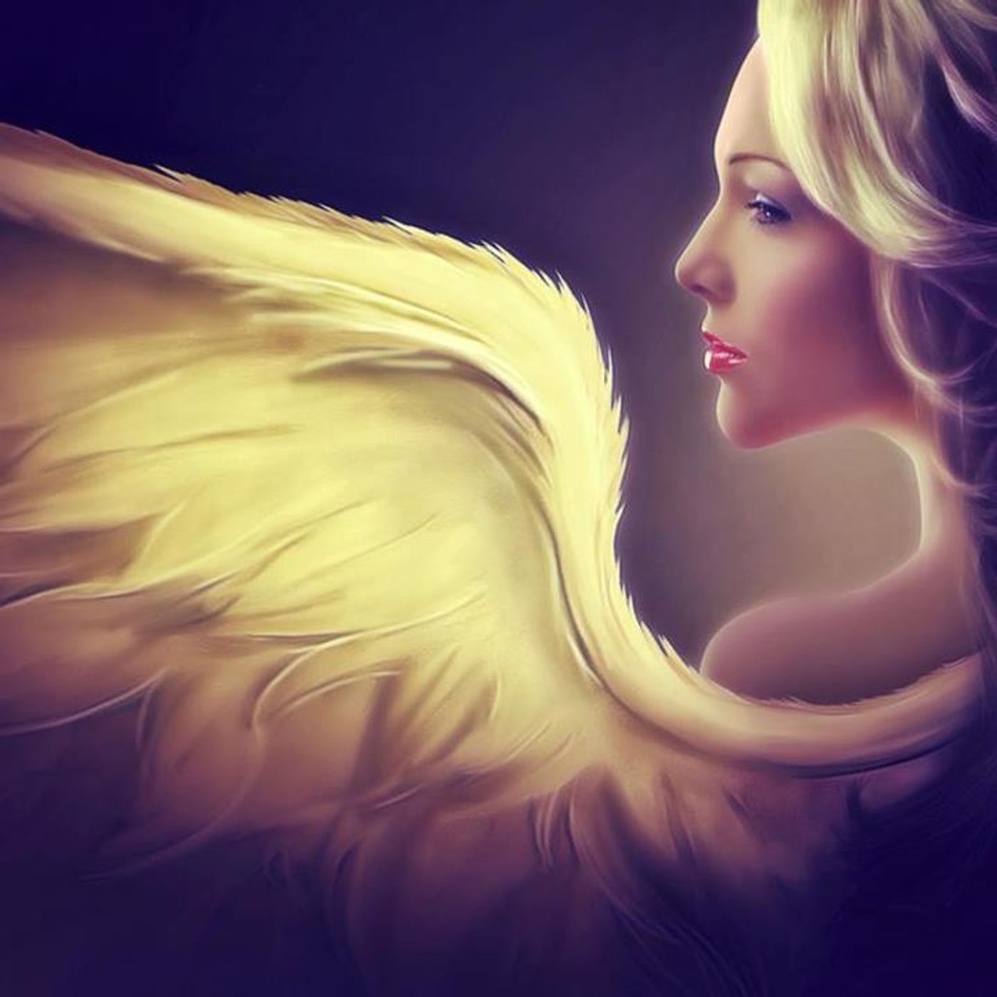 ANGELI IN DIRETTA-  in contatto con gli esseri di luce, per elevare le vibrazioni energetiche, con Patrizia Setteducati episode artwork