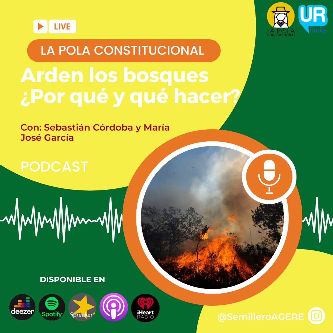 Arden los bosques, ¿Por qué y qué hacer? episode artwork