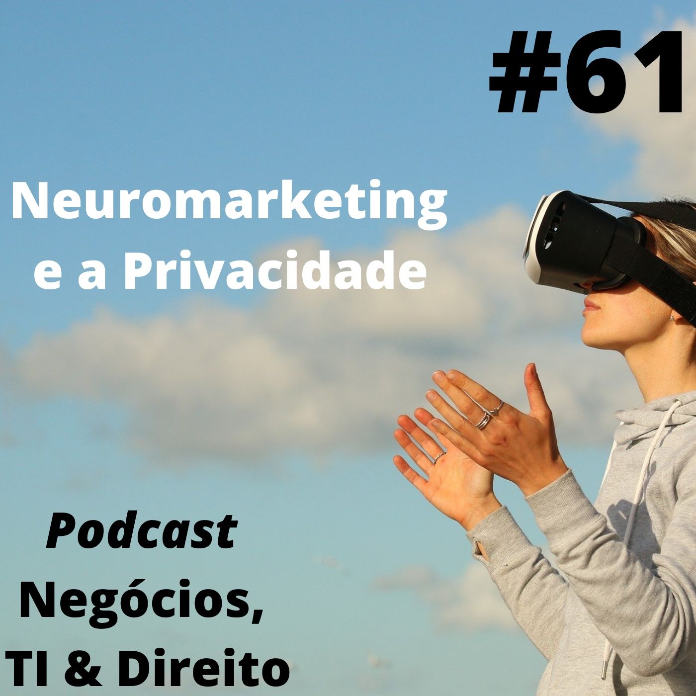 Negócios, TI & Direito