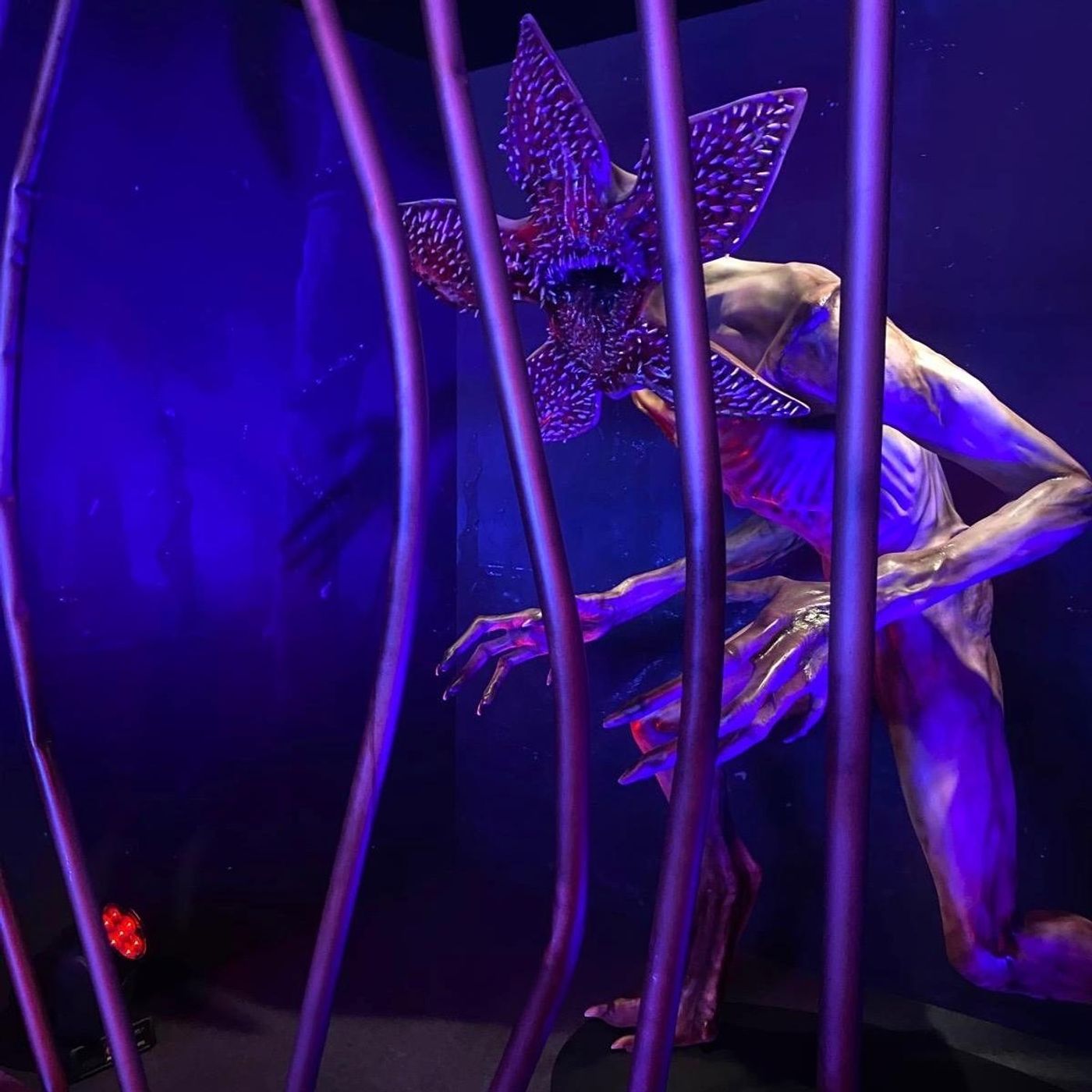 #LuccaComics 2025: I love Lucca Comics