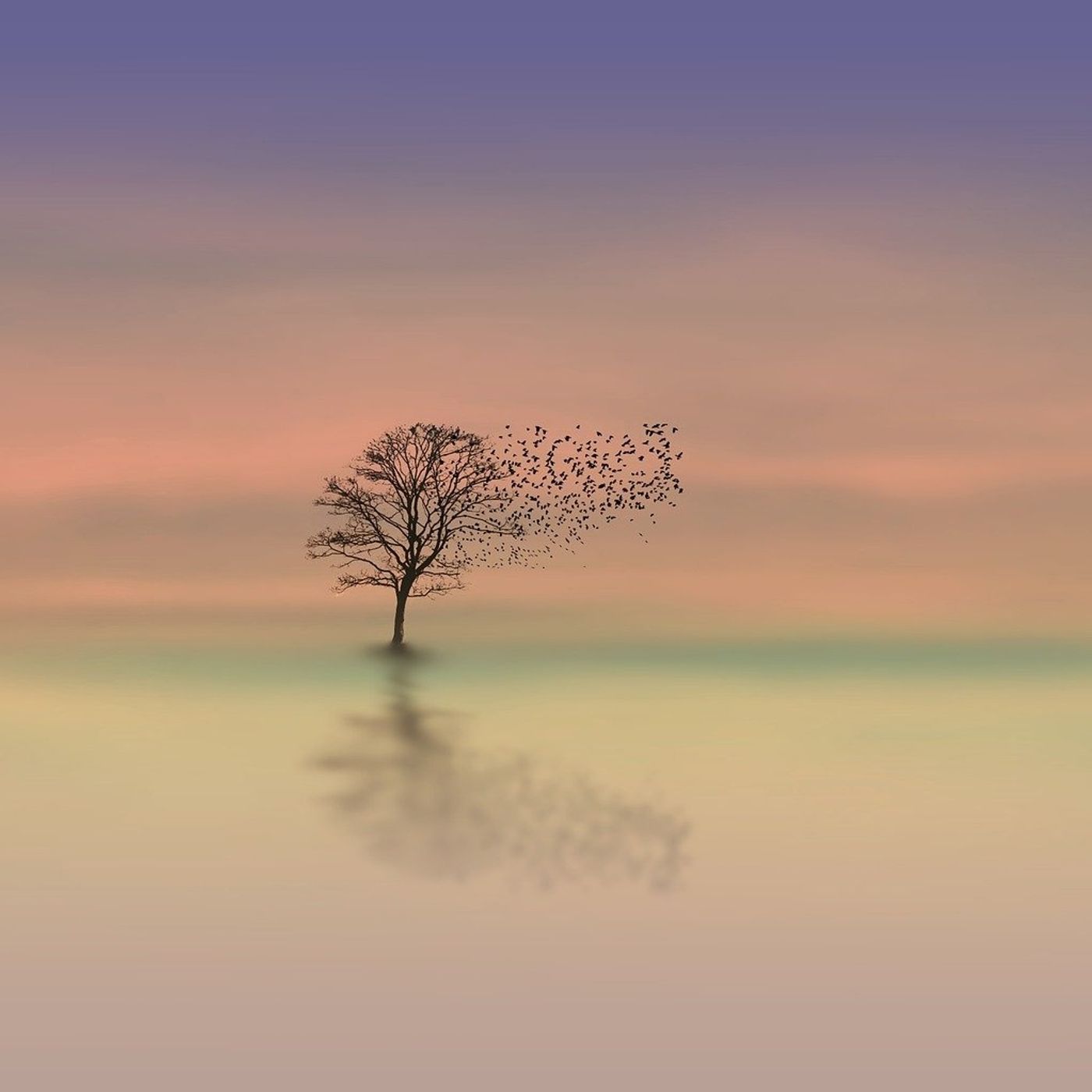 Sleep Meditation - Becoming Aware Of Your Body