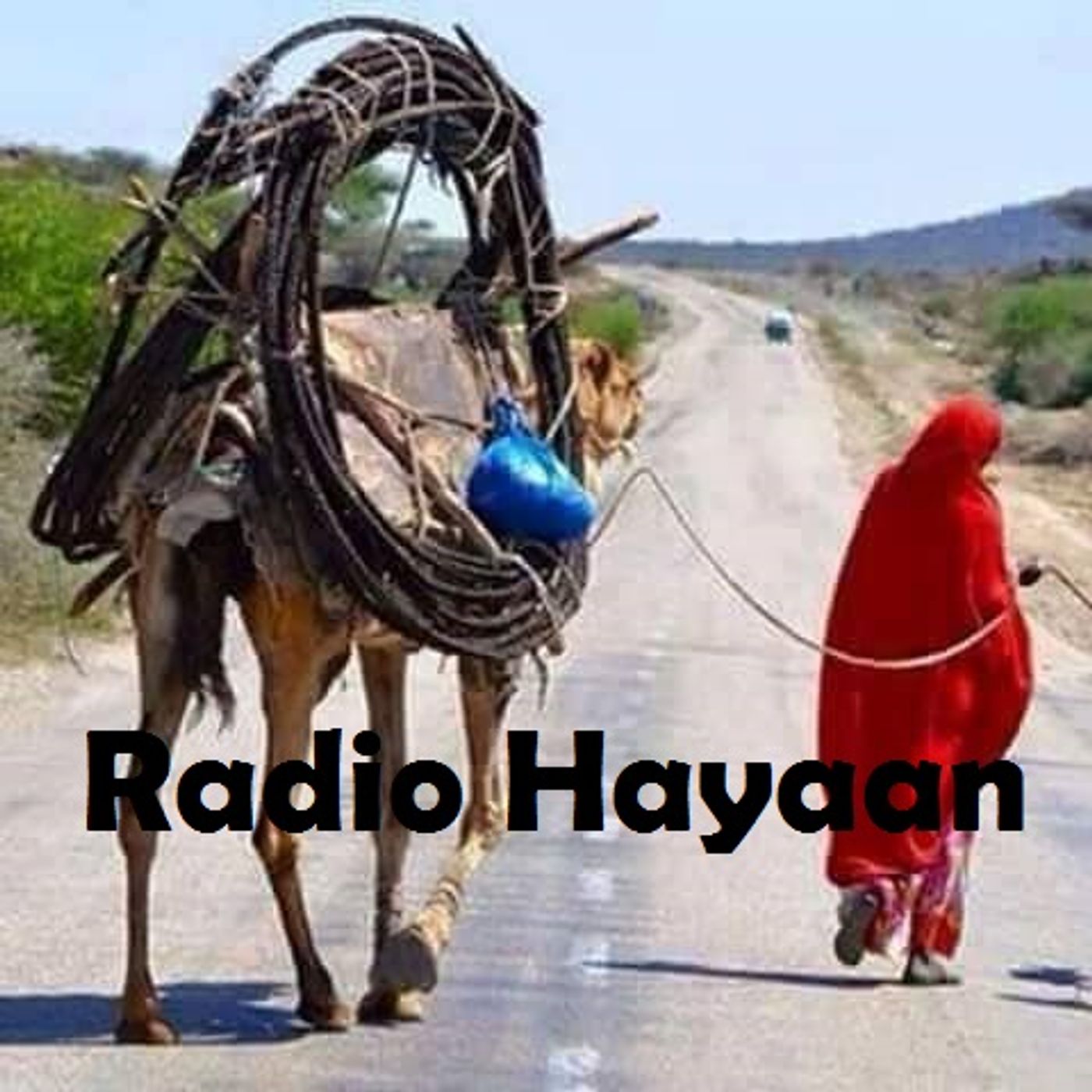 Radio Hayaan