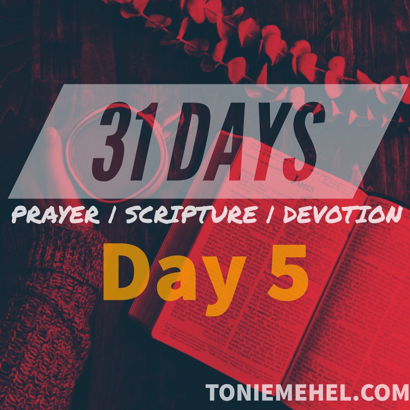 31 Days of Prayer, Scripture and Devotion | What do you believe? episode artwork