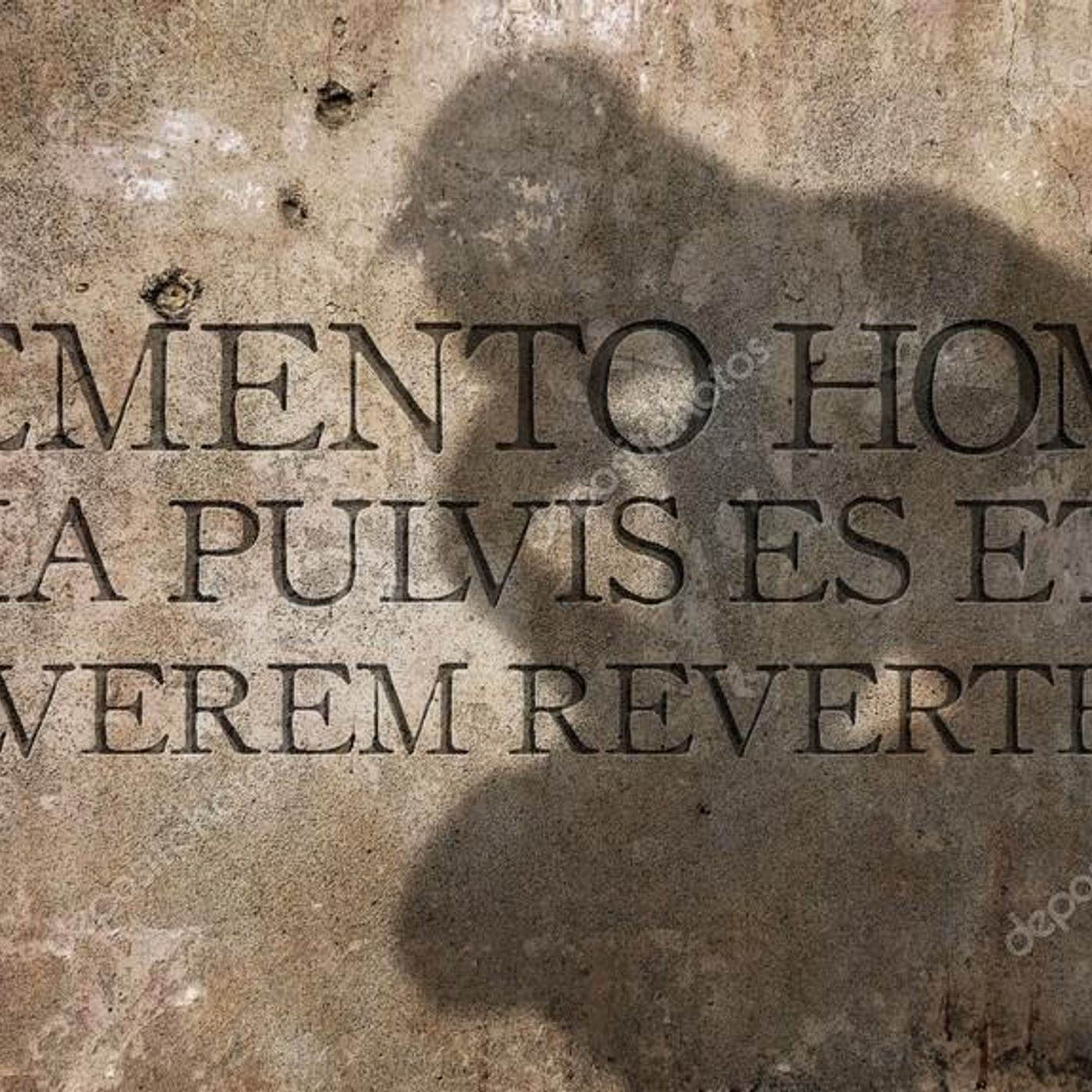 Conexion Pineal