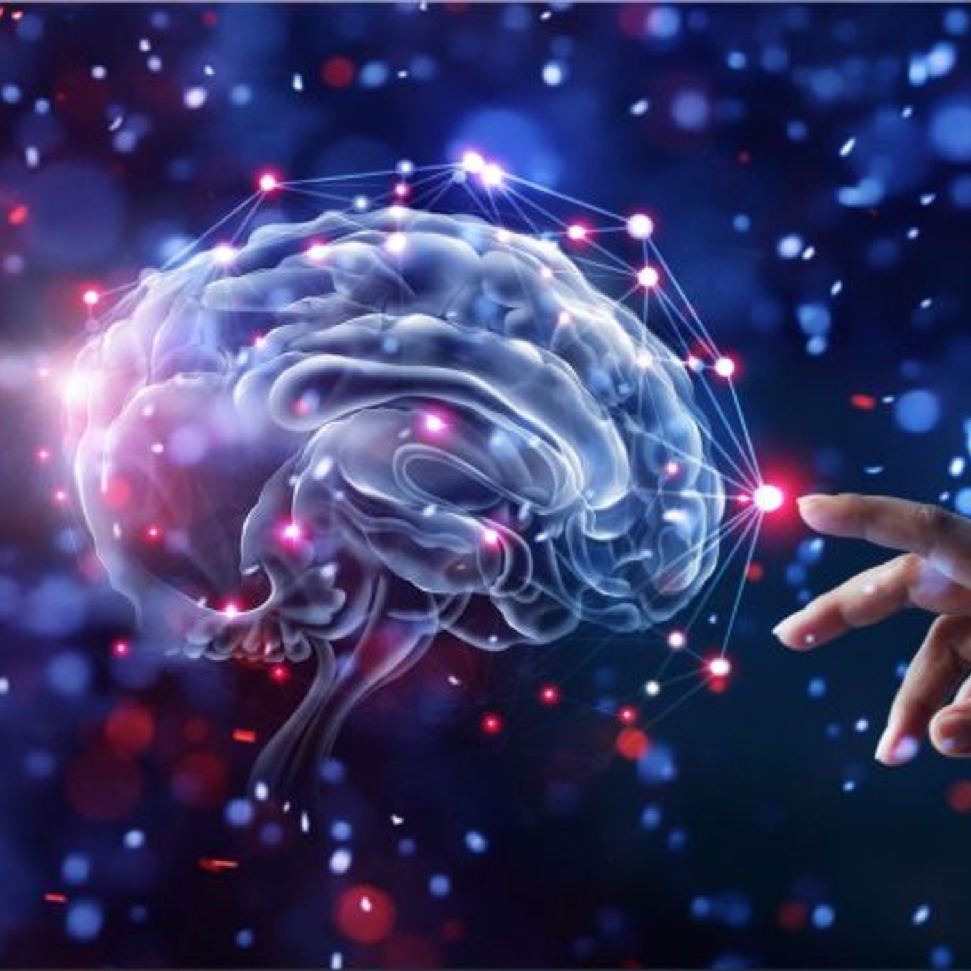 Temas de Salud y Bienestar Mental