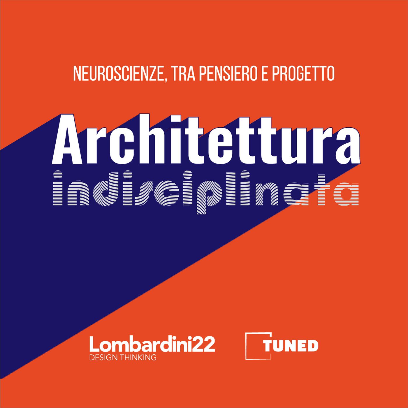 Architettura indisciplinata
