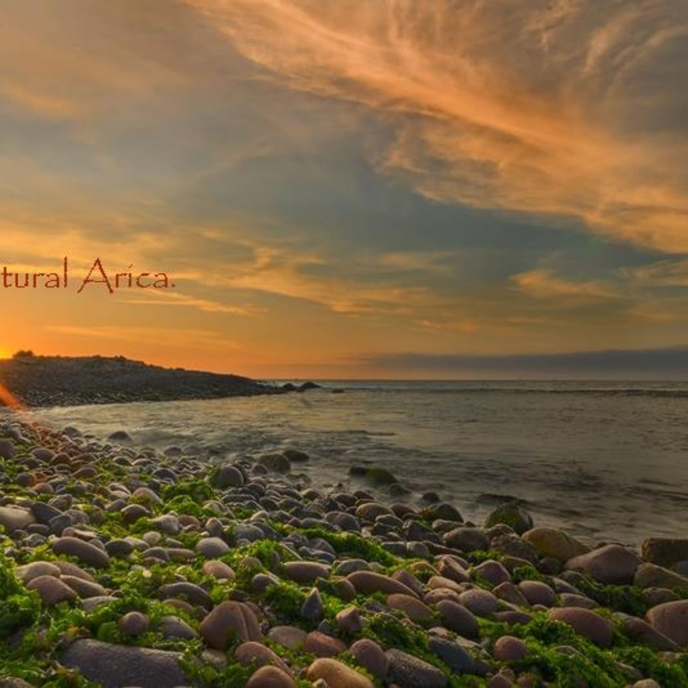 Asesoría Psicología Natural Arica